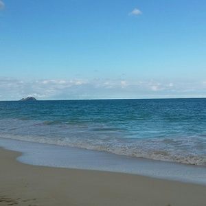 Meet your Posher Browneyes